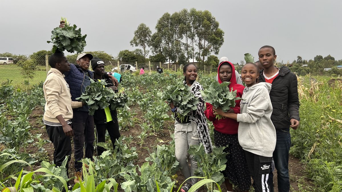 Children harvesting vegetables at the CGH Naivasha farm